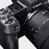 CANON EOS R + RF 24-105 4L IS USM